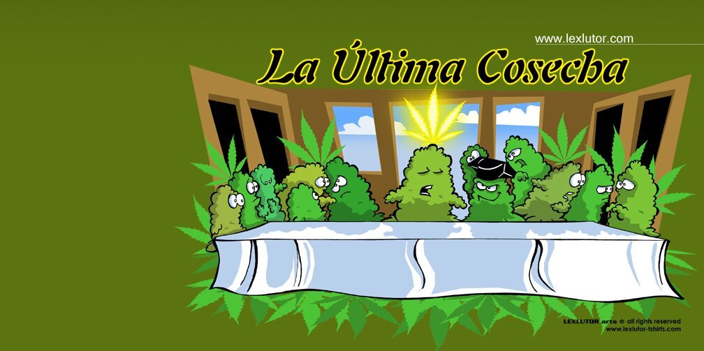 marcosbuba's profile banner image