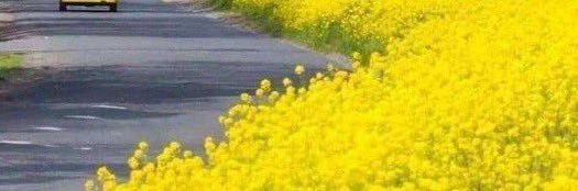caat1399's profile banner image