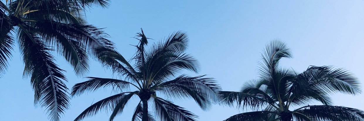 Madison_Simon98's profile banner image