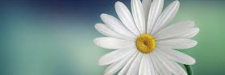 Gorgeous_Pink_'s profile banner image