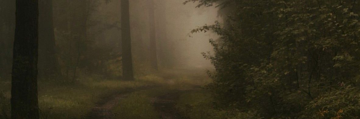 Fenrhysh's profile banner image
