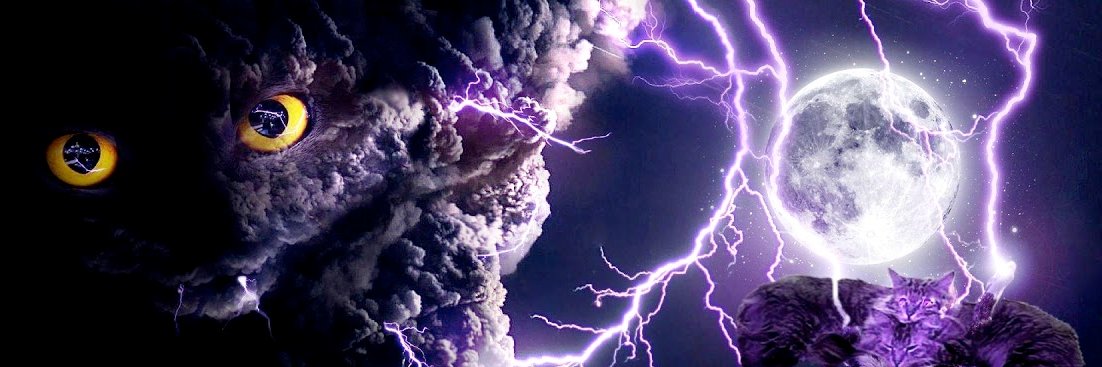 justin vision banner