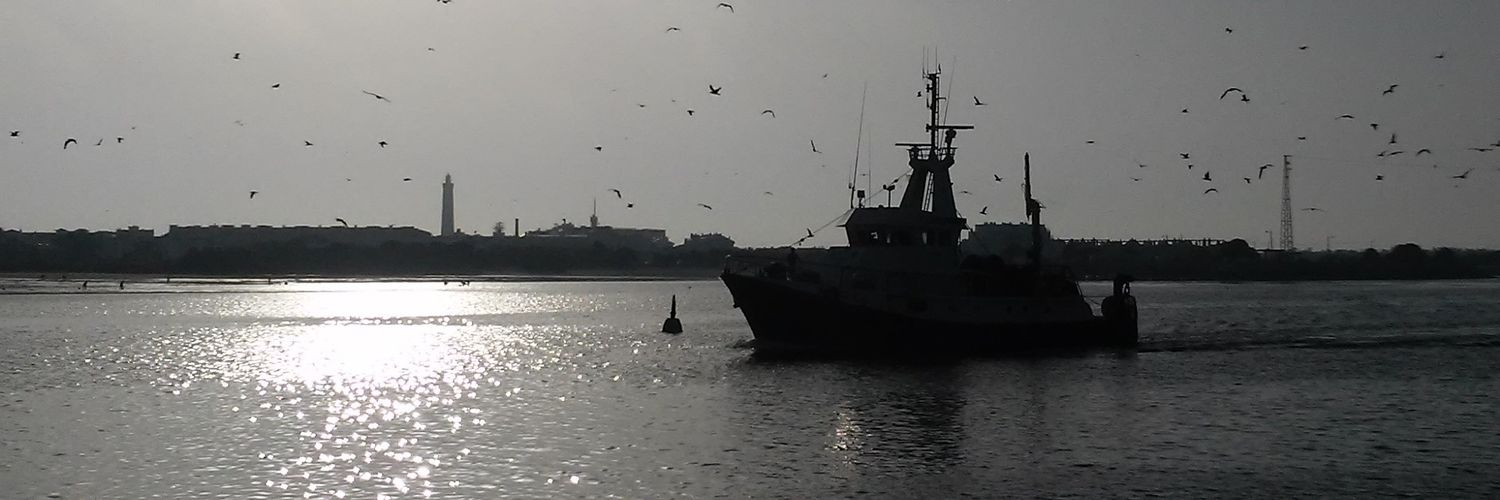 asmacara's profile banner image