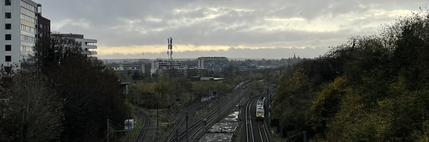 rodion n. déev banner