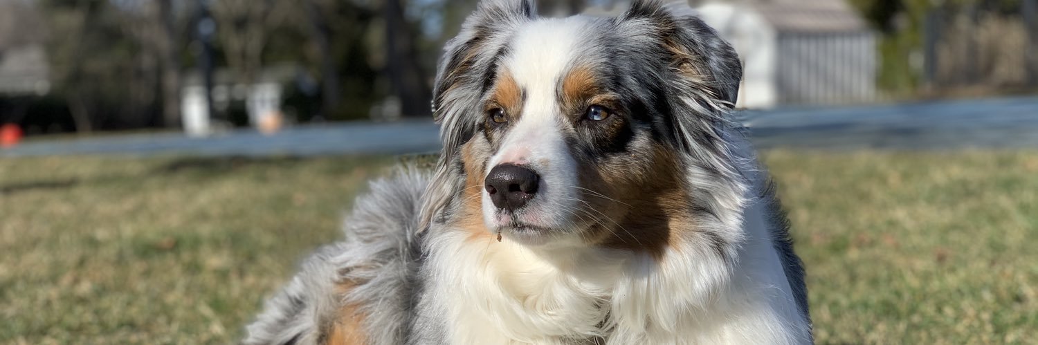 Kendall Valentin banner