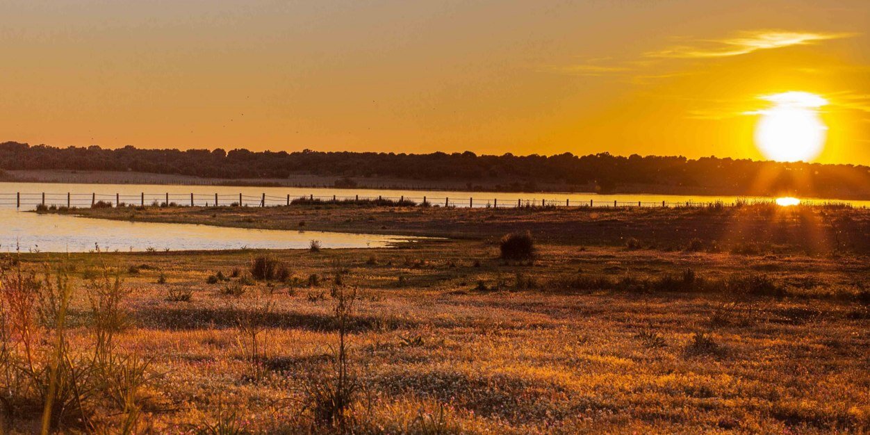 Alfonso Candela banner