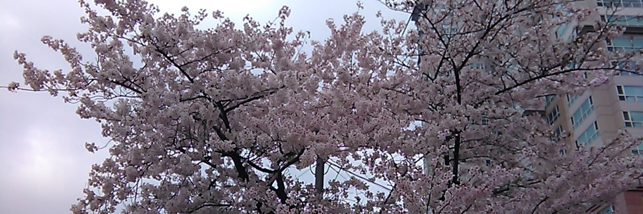 niji69's profile banner image
