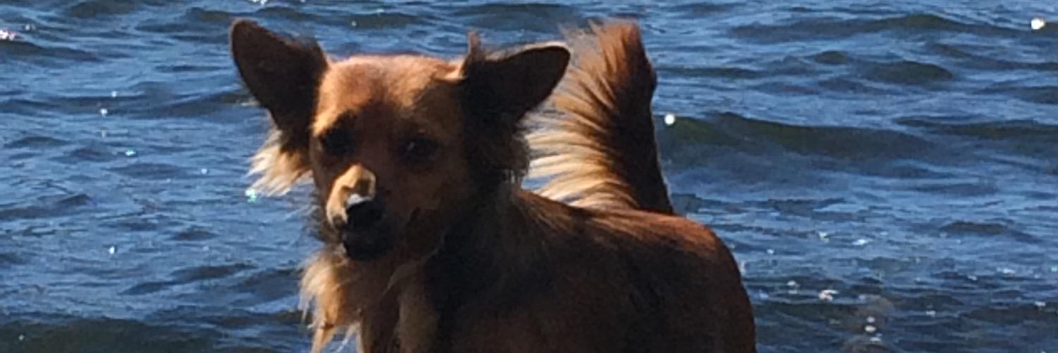 ARosiles3's profile banner image