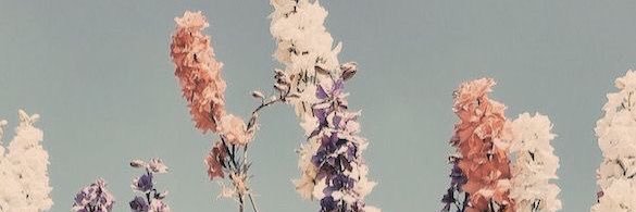 _DABP_'s profile banner image