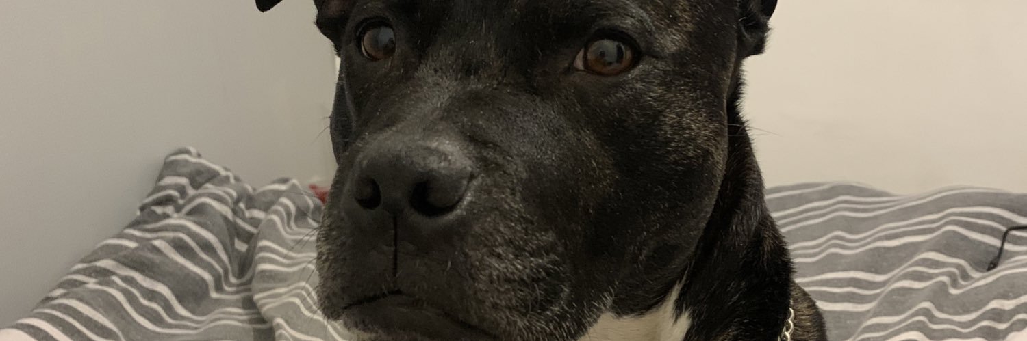 T0M_Ass's profile banner image