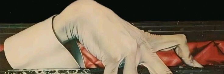 Alkaeni's profile banner image