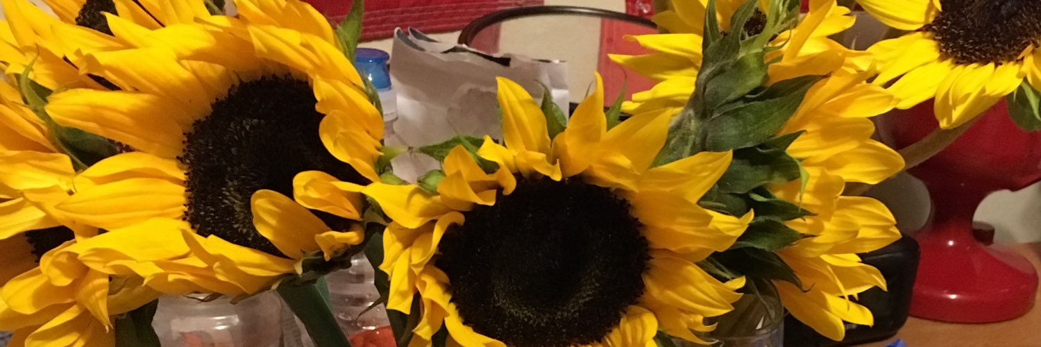 keightdolinar's profile banner image