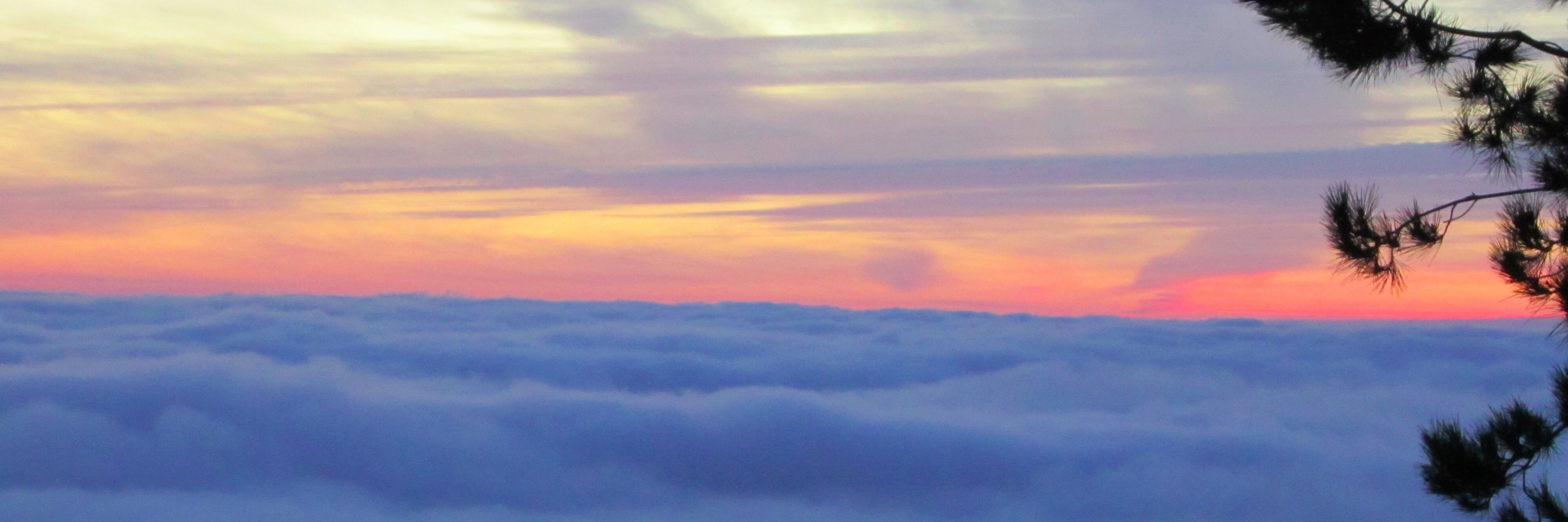 markavillanova's profile banner image