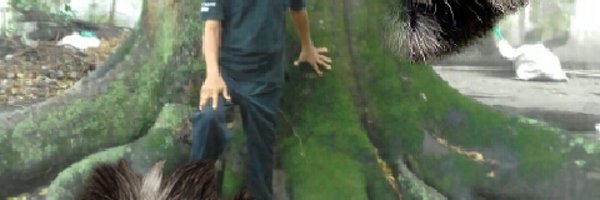 soalagogo Profile Banner