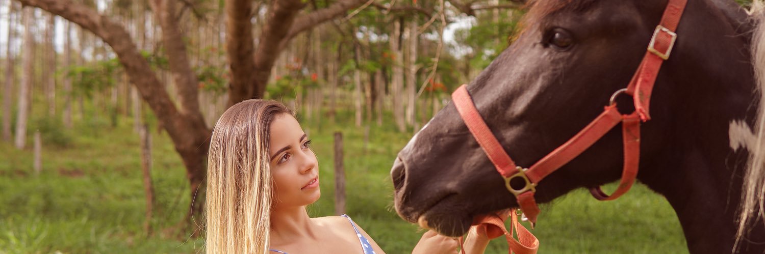_brandaolarissa's profile banner image