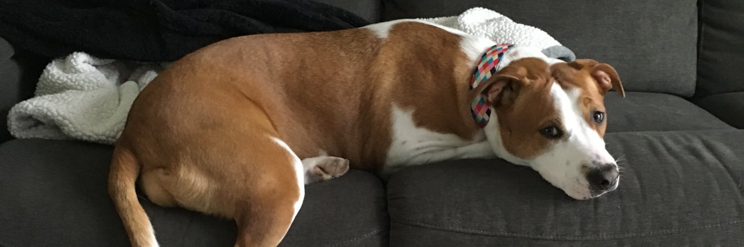 Shirkey, Crystal banner