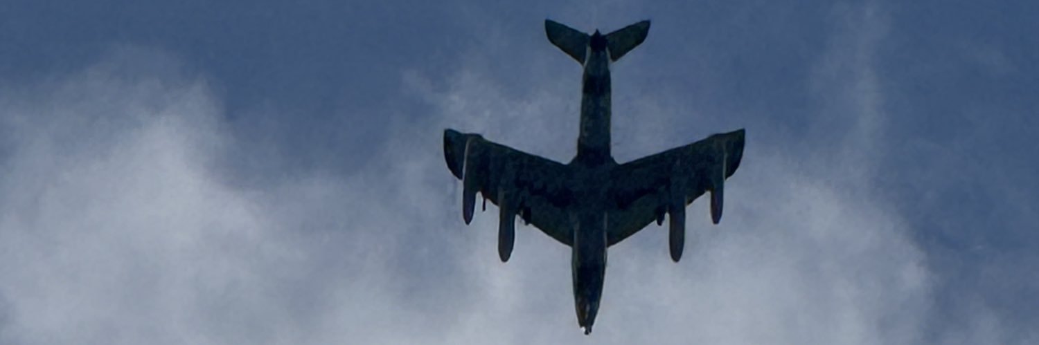 USAFvetRaven🐦‍⬛ banner