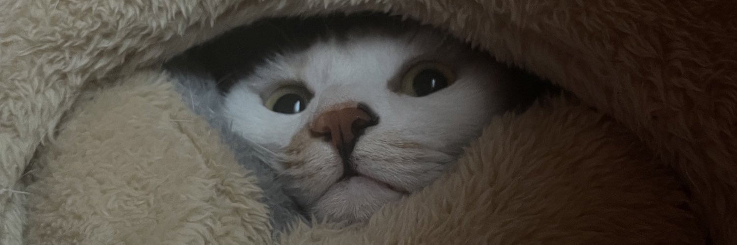 fukopyon25's profile banner image