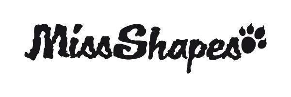 Miss Shapes banner
