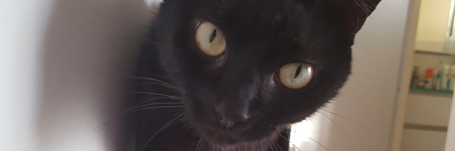 vaplusloinstp's profile banner image