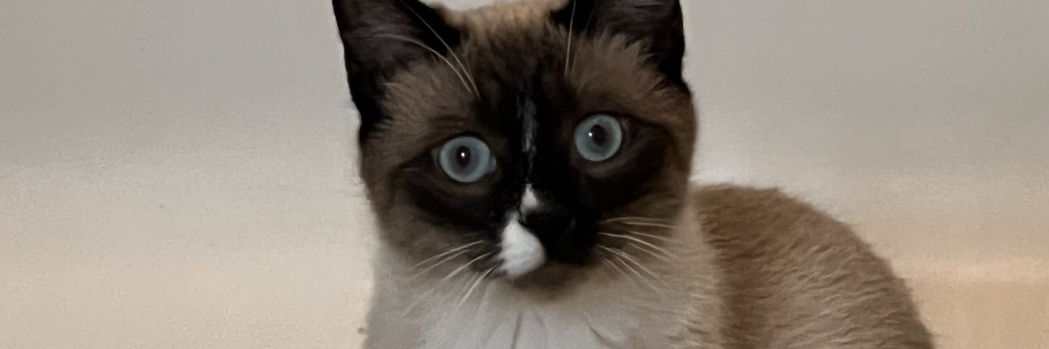 CapnBamBam's profile banner image