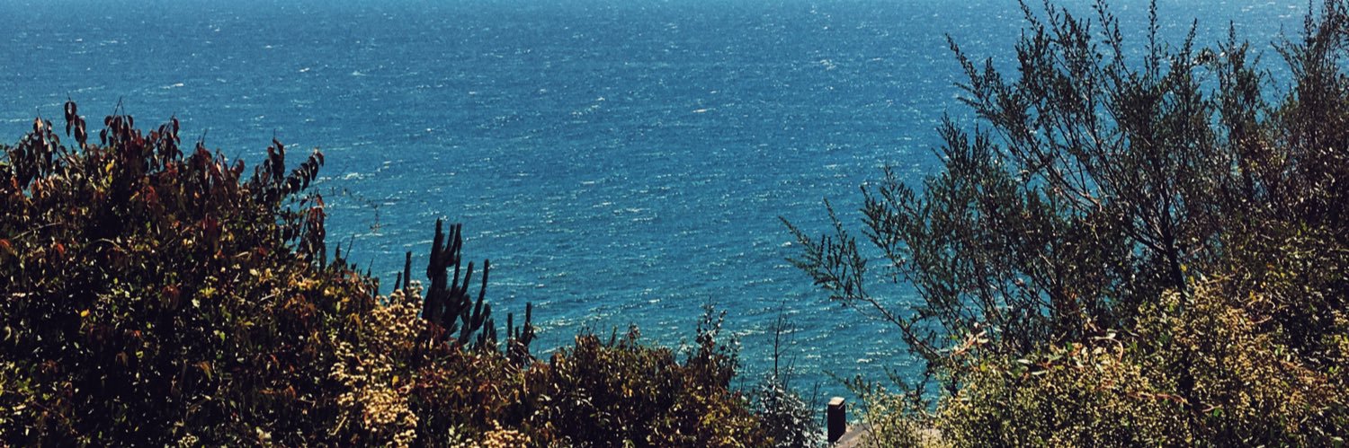 cotecamote's profile banner image