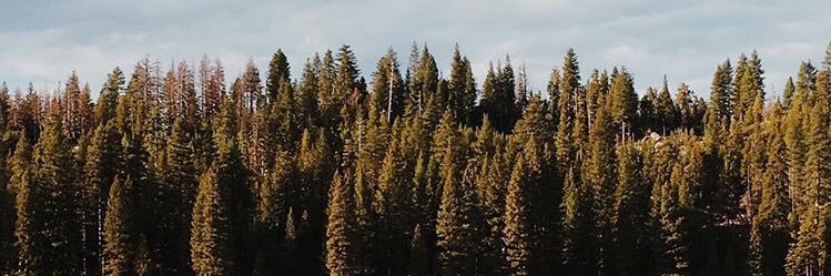 _FreeInHim_'s profile banner image