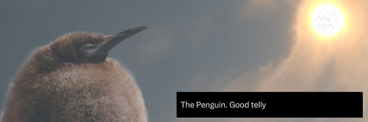 FlyingTelescope's profile banner image
