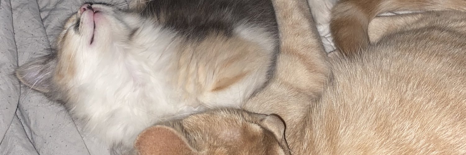 HannahCasebolt's profile banner image