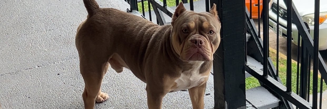 BigMoneyDej's profile banner image