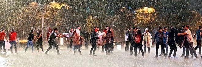 Linda DelaBarrera banner