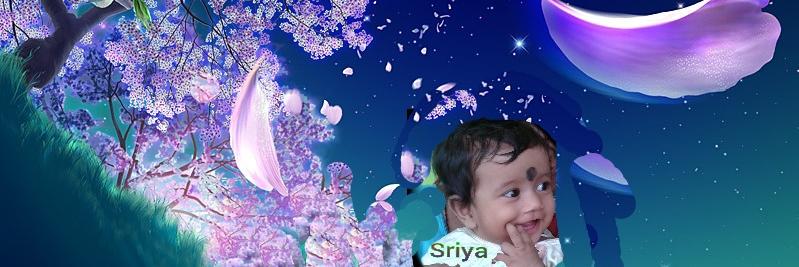 Bichitra Ranjan Sahoo banner