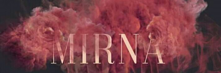 ani_mirna's profile banner image