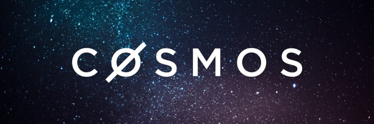 Cosmos Punk banner