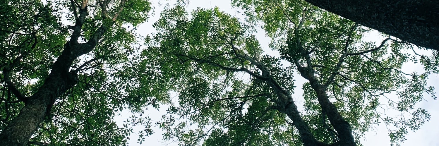 kyzacky1's profile banner image