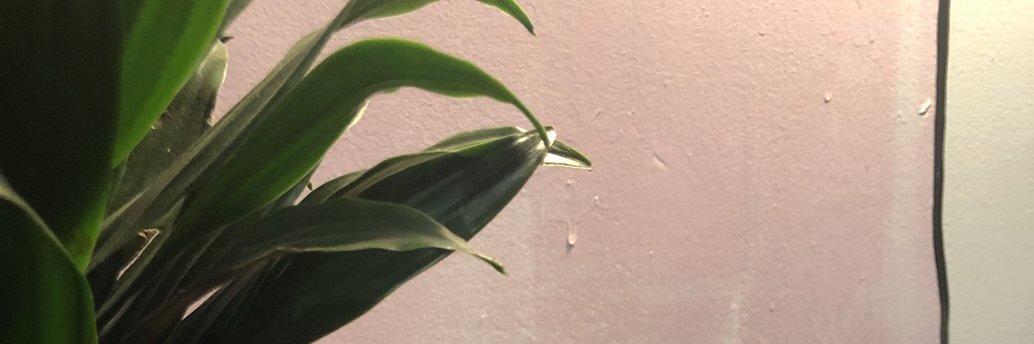 lexivega13's profile banner image