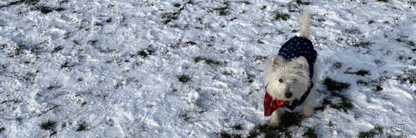 Manuelabr Profile Banner