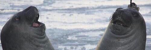 RuPancakes's profile banner image