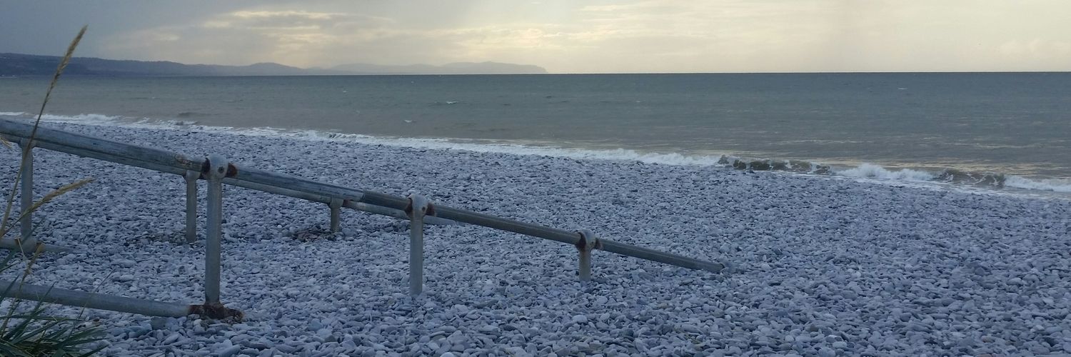 diannedowney's profile banner image
