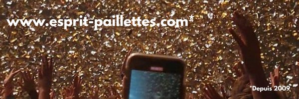 EspritPaillette Profile Banner