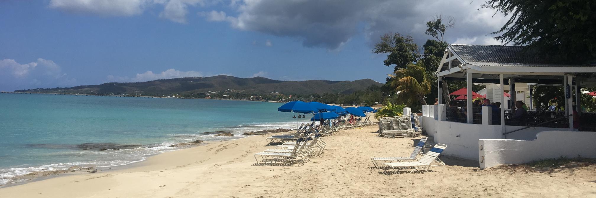 Brandt Williams banner