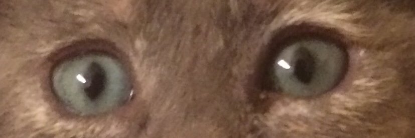 10copper's profile banner image