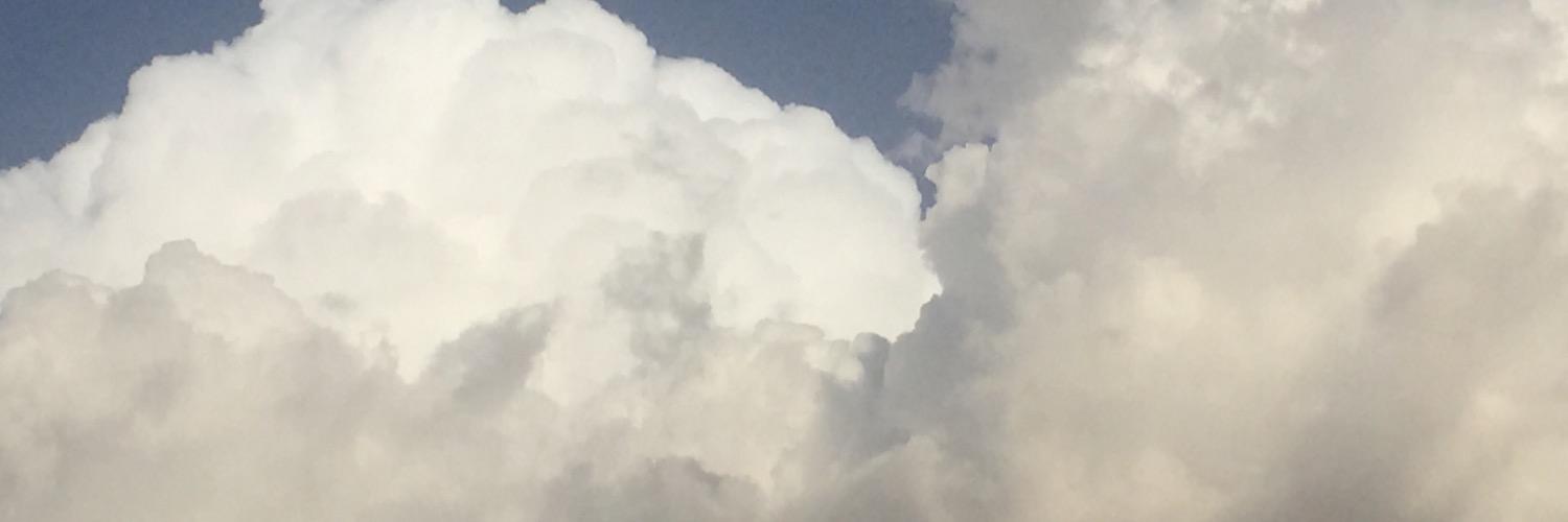 wou29's profile banner image