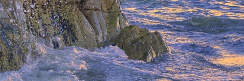 Waelali910's profile banner image