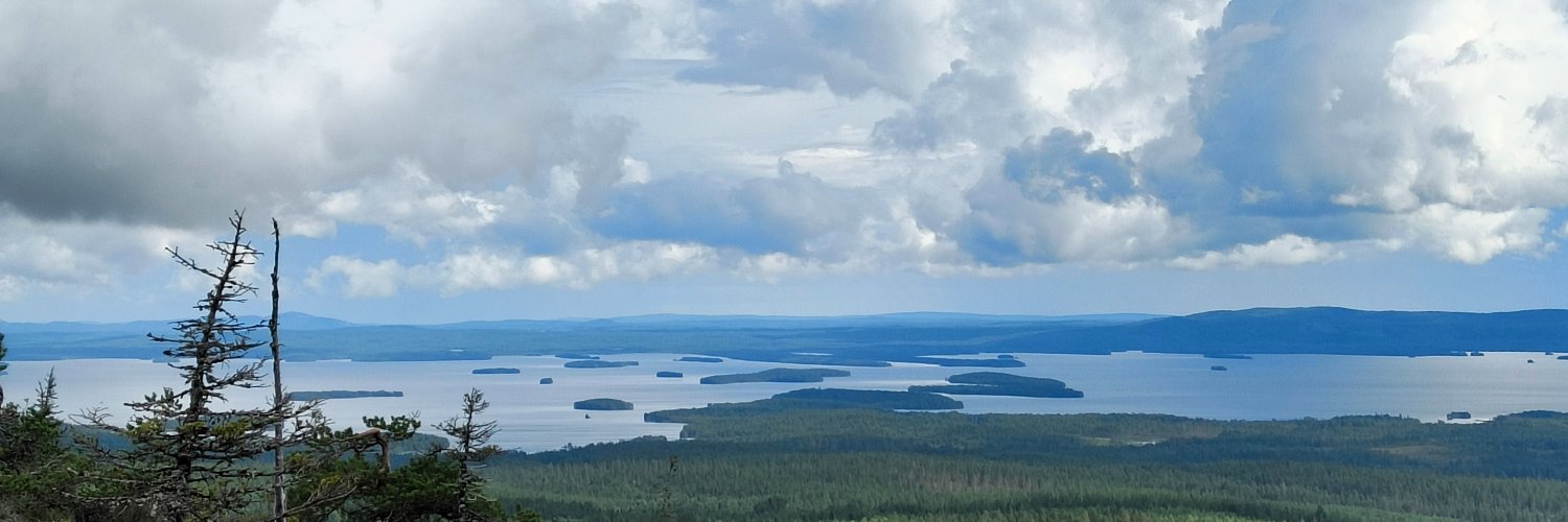 Teemu Saari banner