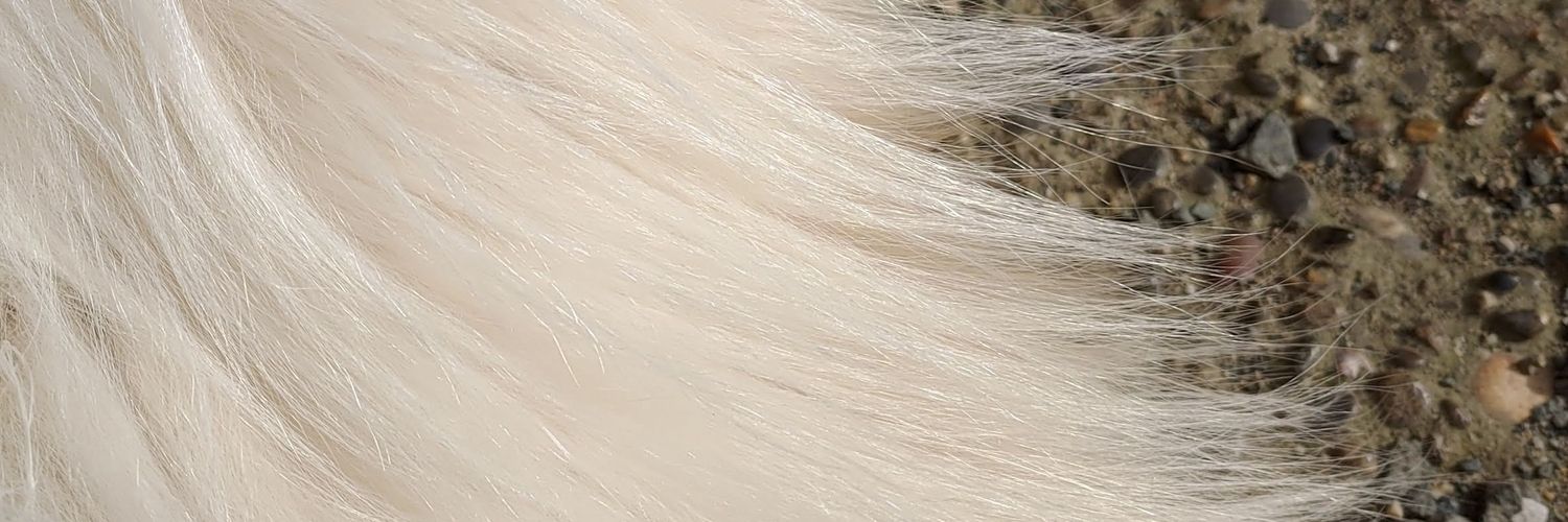 mono__8's profile banner image