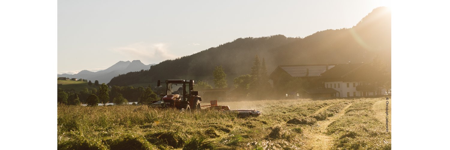 Alpine Convention banner