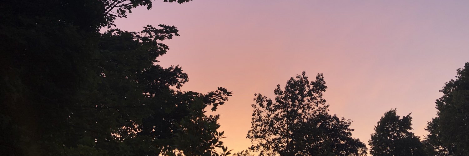 Courtyyyb's profile banner image