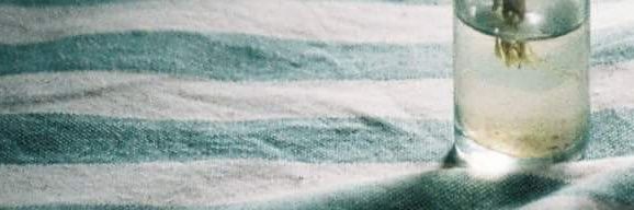 frspi's profile banner image