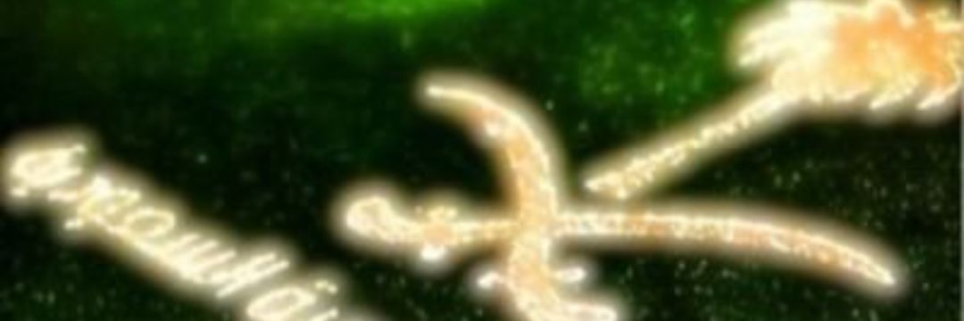 faf22faf's profile banner image